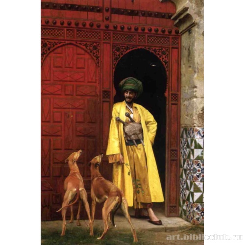 Араб и его собаки