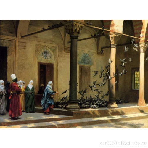 Женщины в гареме кормят голубей