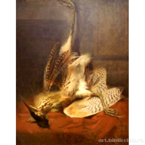 Мертвая птица