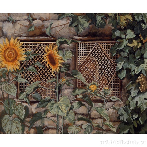 Берегись, он за стеной