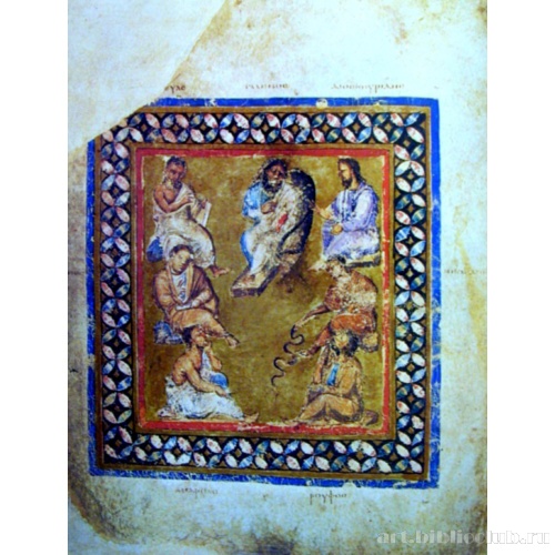 Венский Диоскорид. 7 врачей