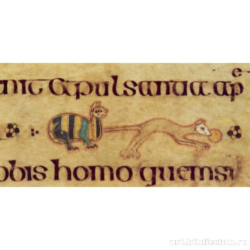 Кошка и мышь с гостией