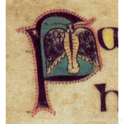 Инициал «P» с молью