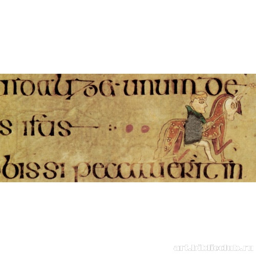 Лошадь и наездник