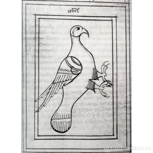 Орел, символ евангелиста Иоанна. Евангелие