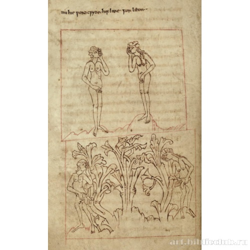 Адам и Ева, сплетшие опоясания