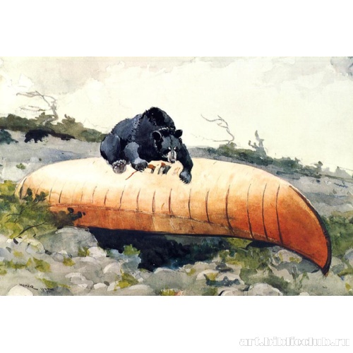 Медведь и каноэ