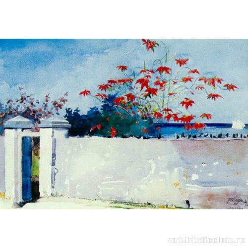 Стена в Нассау