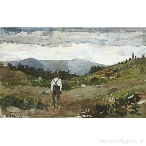 Ведет коров на пастбище