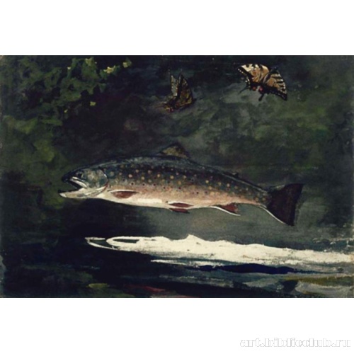 Полет форели