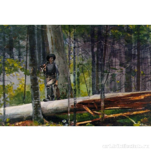 Охотник в Адирондакских горах