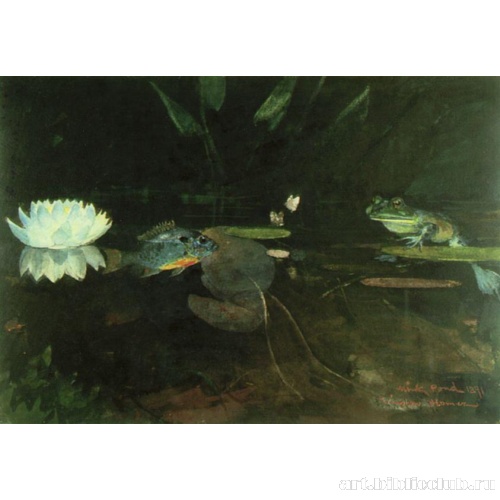 Темно-коричневый пруд