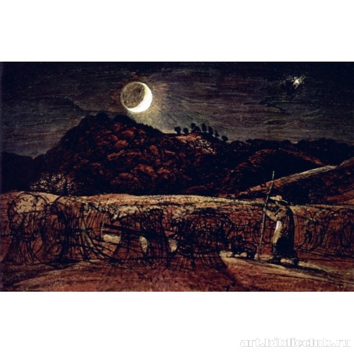 Нива в лунном свете