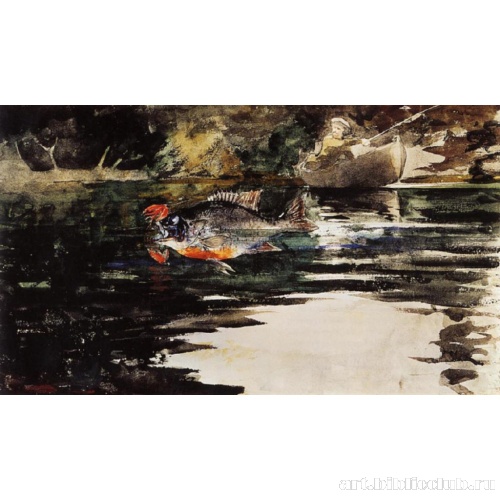 Нежданная добыча