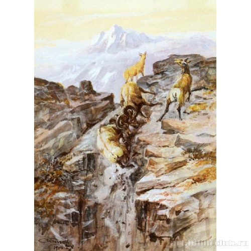 Горные бараны