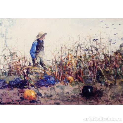 Среди овощей