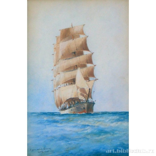 На всех парусах