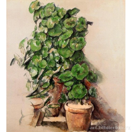 Горшок с геранью