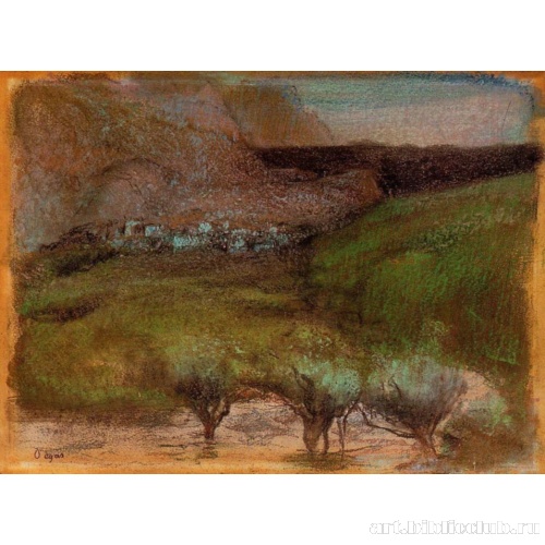 Оливковые деревья