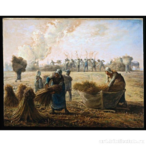 Сбор урожая