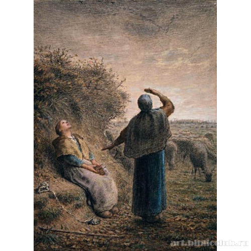 Пастушки наблюдают за полетом диких гусей