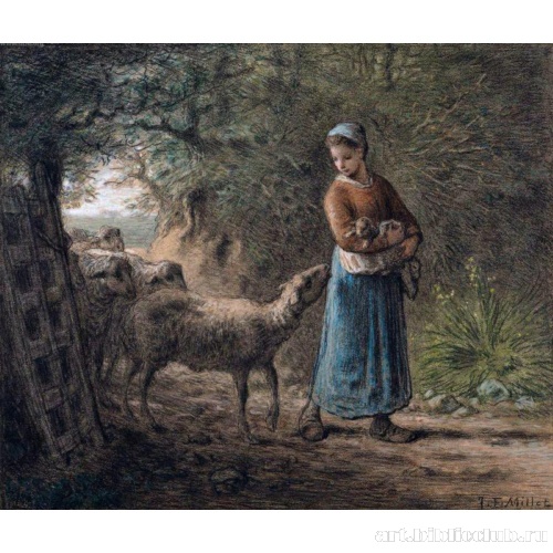 Новорожденный ягненок