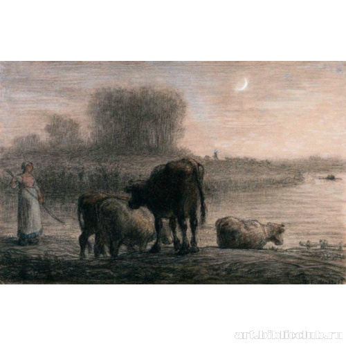 Коровы на водопое