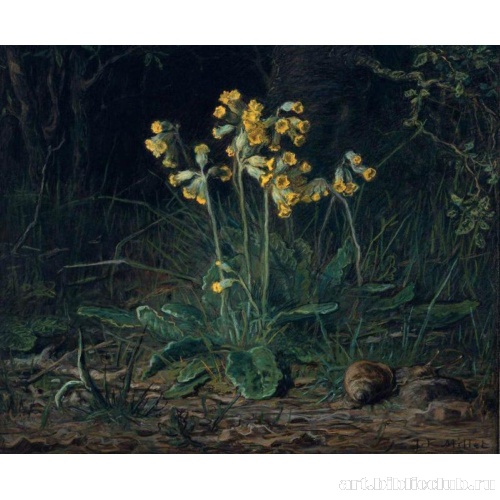 Первоцветы