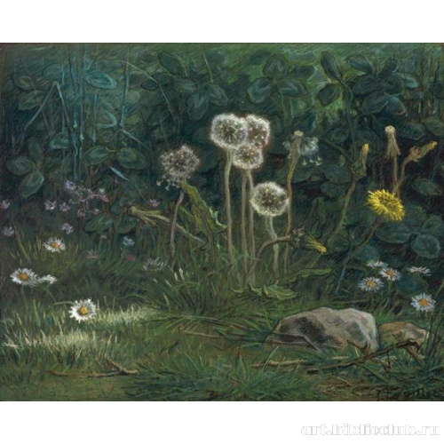 Одуванчики