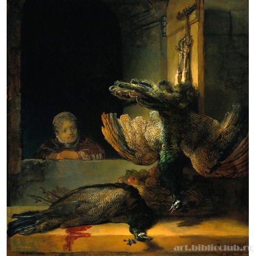 Мертвые павлины