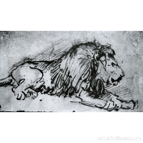 Лежащий лев