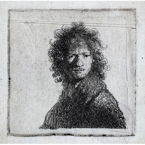 Автопортрет в хмурящемся виде