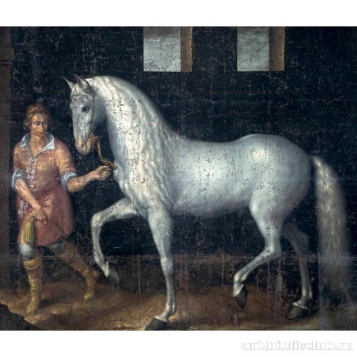 Испанская лошадь, захваченная в битве при Ньюпорте