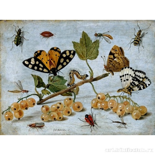 Насекомые и фрукты