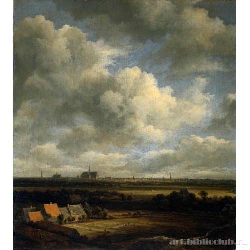 Вид Харлема