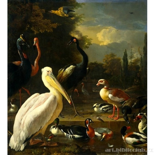 Пеликан и другие птицы у пруда