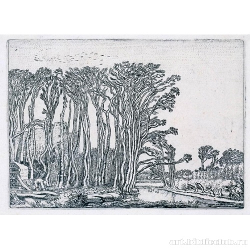 Деревья у воды