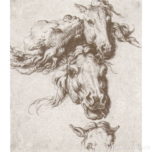 Четыре лошадиные головы