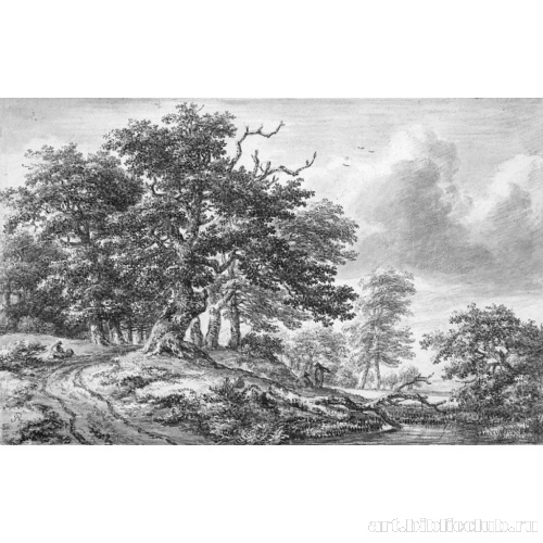 Лесной пейзаж с дорогой и большим деревом