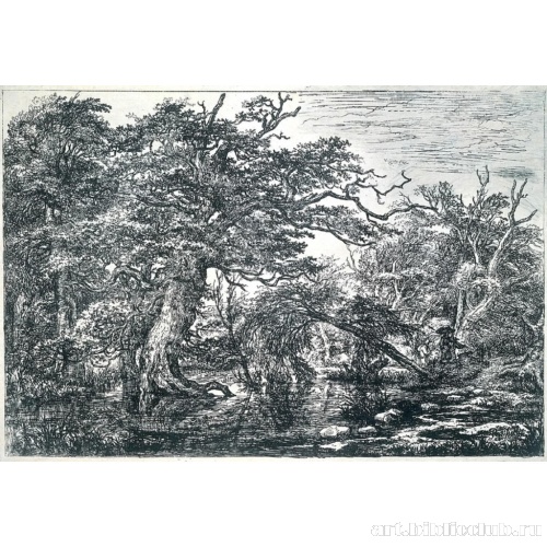 Путешественники в лесу