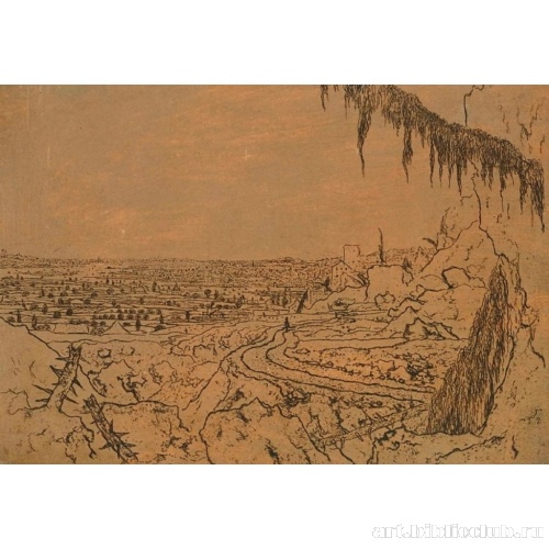 Пейзаж с веткой ели