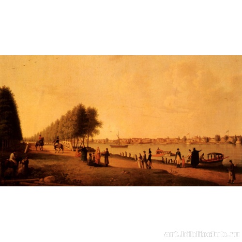 Вид Новой деревни с Каменного острова