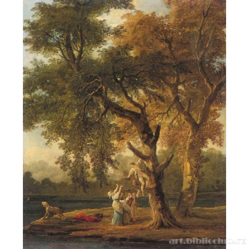 Разорители гнезд