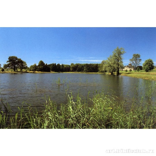 Парк усадьбы Ховард. Вид с пруда