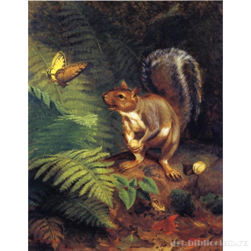 Как прекрасно