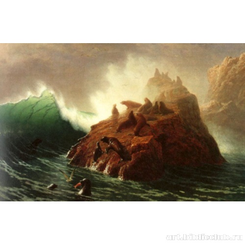 Тюленья скала