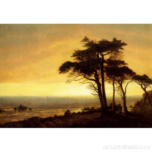 Берег Калифорнии