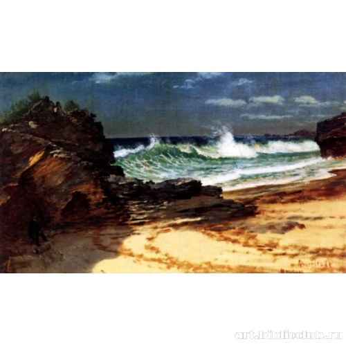 Берег Нассау