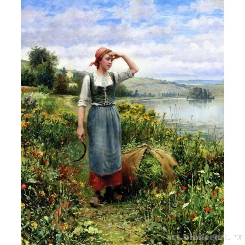 Цветочное поле