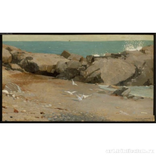 Скалистое побережье и чайки